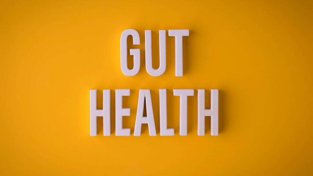 Gut Health and Fitness
